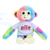 Thumbnail of 6008-rainbowmonkey-1.png