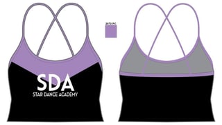 Starda C T ignite sports bra purple