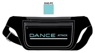 dncatkCA-fannypackBLACK.jpeg