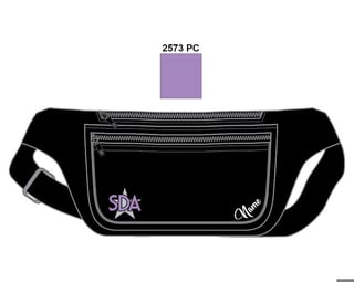 stardaCT-fannypack-black-1.jpg