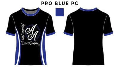 Absoart T N P R O B L U E tee