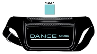dncatkCA-fannypackBLACK.jpeg