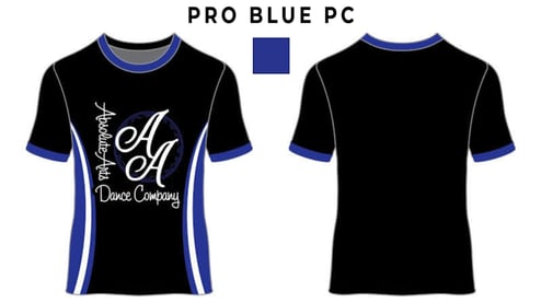 Absoart T N P R O B L U E tee