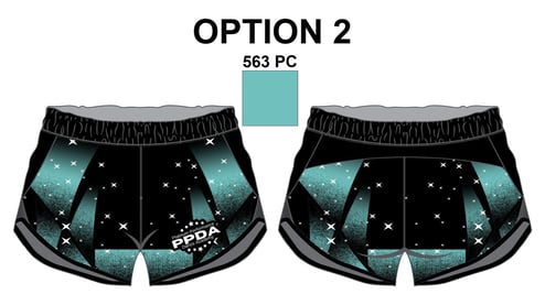 Ppdaca N Y running shorts 1